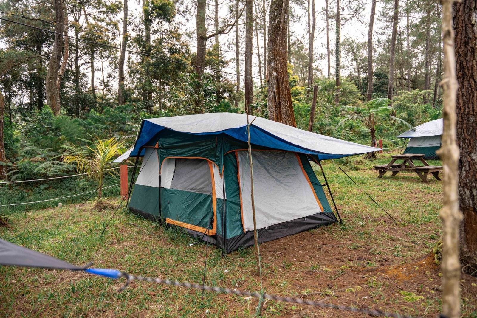 The Garden Dome di antara rumput pegunungan